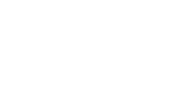 Logo Nailspa